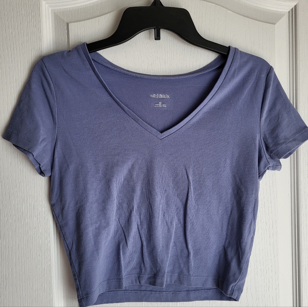 Wild Fable Crop Top